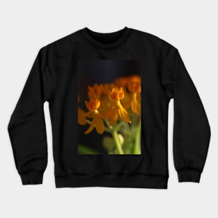golden hour flowers Crewneck Sweatshirt